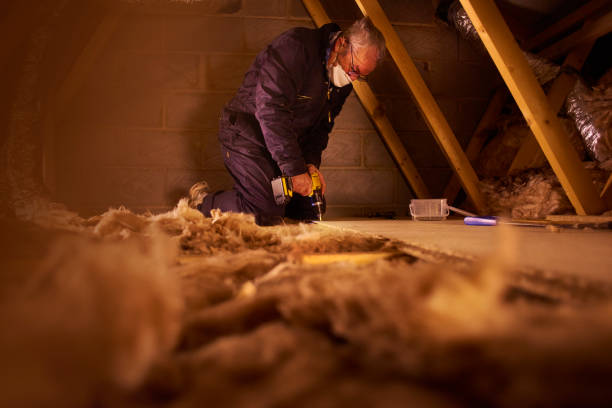 Best Insulation Installation Services in Sandy Oaks, TX